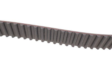 Фото 3 - Комплект ремня ГРМ SKF VKMC 06220 (VKMC06220)