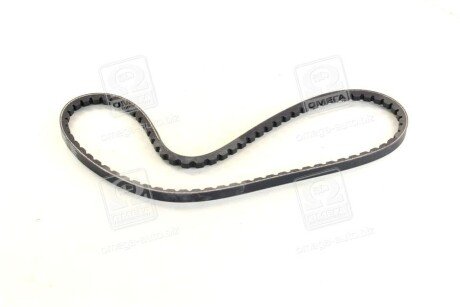 Фото 3 - Ремінь приводний SKF VKMV10AVX800