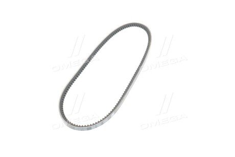 Фото 2 - Ремінь приводний SKF VKMV10AVX838