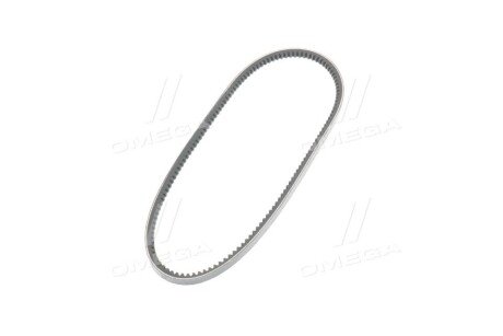 Фото 4 - Ремінь приводний SKF VKMV10AVX838