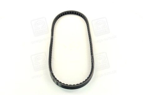 Фото 2 - Ремінь приводний SKF VKMV13AVX850