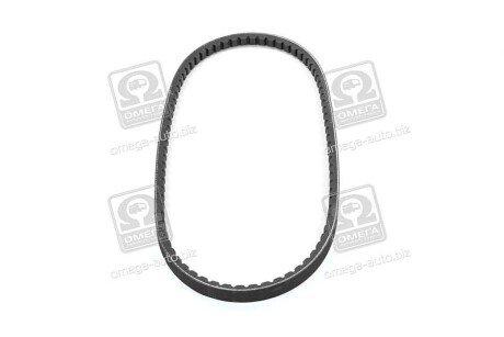 Фото 4 - Ремень приводной SKF VKMV13AVX875