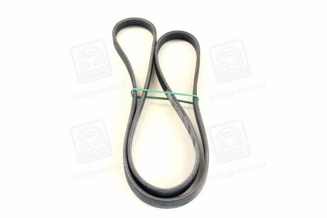 Фото 2 - Ремінь приводний SKF VKMV4PK1511