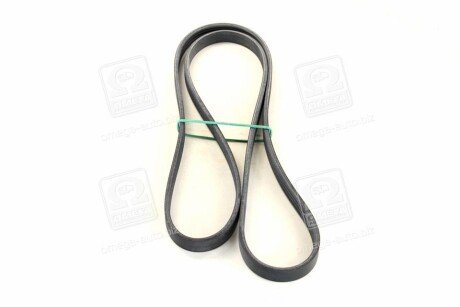 Фото 4 - Ремінь приводний SKF VKMV4PK1511