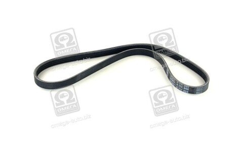 Фото 3 - Ремень приводной SKF VKMV4PK855