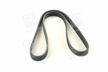 Фото 2 - Ремень приводной SKF VKMV5PK1110