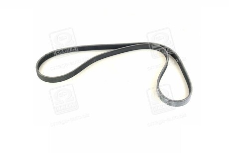 Фото 3 - Ремінь приводний SKF VKMV 5PK1300 (VKMV5PK1300)