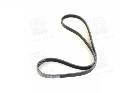 Фото 4 - Ремінь приводний SKF VKMV 5PK1300 (VKMV5PK1300)