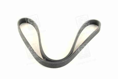 Фото 2 - Ремінь приводний SKF VKMV 6DK1195 (VKMV6DK1195)