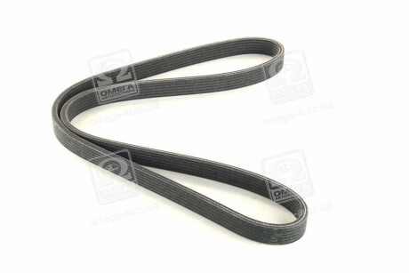 Фото 3 - Ремінь приводний SKF VKMV 6DK1195 (VKMV6DK1195)