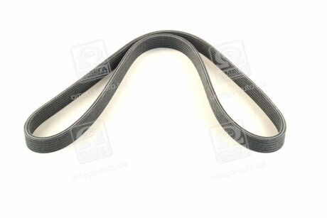 Фото 4 - Ремінь приводний SKF VKMV 6DK1195 (VKMV6DK1195)