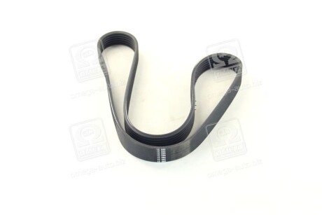 Фото 2 - Ремінь приводний SKF VKMV 6PK1042 (VKMV6PK1042)