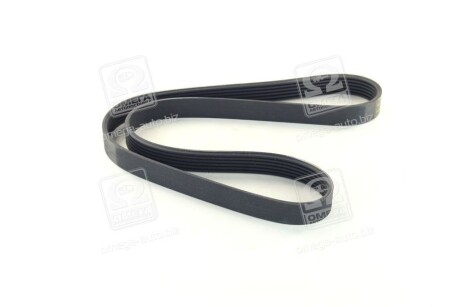 Фото 3 - Ремінь приводний SKF VKMV 6PK1042 (VKMV6PK1042)