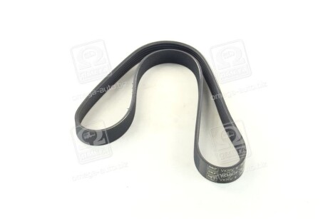 Фото 4 - Ремінь приводний SKF VKMV 6PK1042 (VKMV6PK1042)