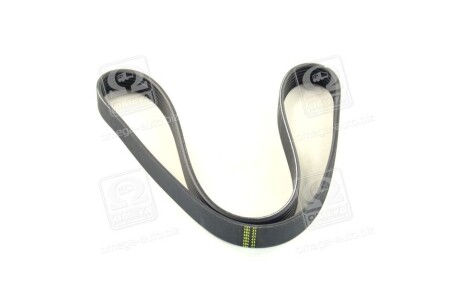 Фото 4 - Ремінь приводний SKF VKMV 6PK1053 (VKMV6PK1053)