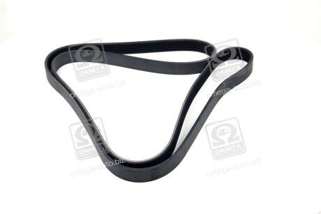 Фото 4 - Ремень приводной SKF VKMV6PK1795