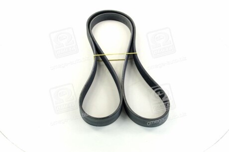 Фото 2 - Ремінь приводний SKF VKMV 6PK1815 (VKMV6PK1815)