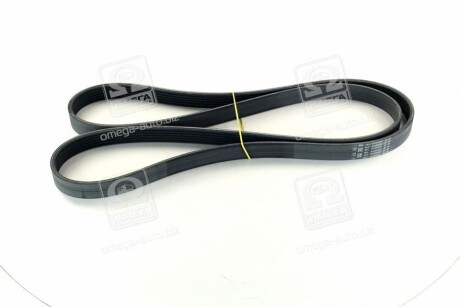 Фото 3 - Ремінь приводний SKF VKMV 6PK1815 (VKMV6PK1815)