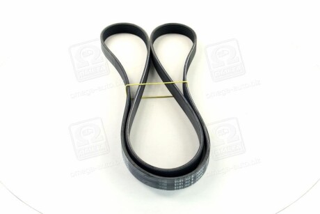 Фото 4 - Ремінь приводний SKF VKMV 6PK1815 (VKMV6PK1815)