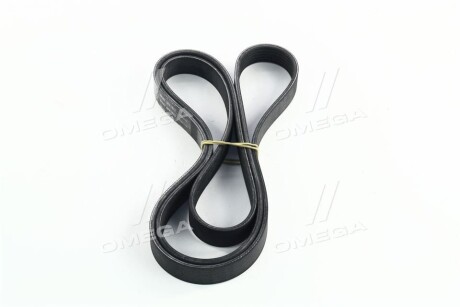 Фото 2 - Ремінь приводний SKF VKMV 6PK1873 (VKMV6PK1873)