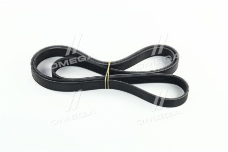 Фото 3 - Ремінь приводний SKF VKMV 6PK1873 (VKMV6PK1873)