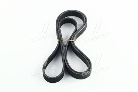 Фото 4 - Ремінь приводний SKF VKMV 6PK1873 (VKMV6PK1873)