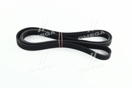 Фото 3 - Ремінь приводний SKF VKMV 6PK2000 (VKMV6PK2000)