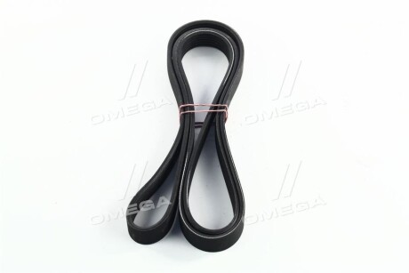 Фото 4 - Ремінь приводний SKF VKMV 6PK2000 (VKMV6PK2000)