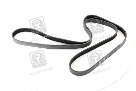 Фото 3 - Ремень приводной SKF VKMV 6PK2270