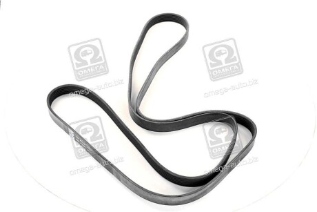 Фото 4 - Ремень приводной SKF VKMV 6PK2270