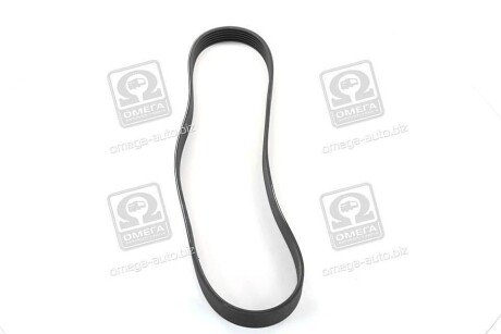 Фото 2 - Ремінь приводний SKF VKMV6PK923