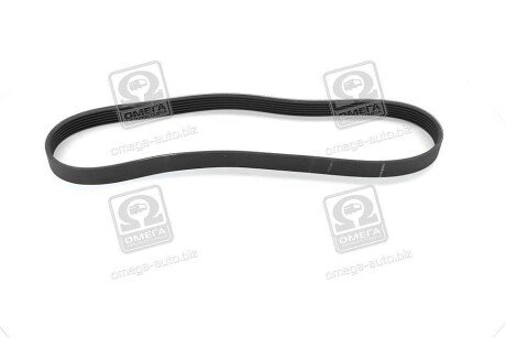 Фото 3 - Ремінь приводний SKF VKMV6PK923