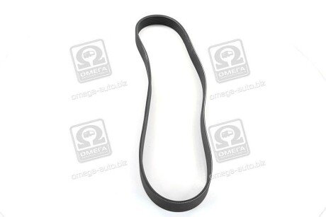 Фото 4 - Ремінь приводний SKF VKMV6PK923