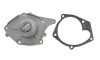 Водяной насос помпа Renault Kangoo Megane Scenic Clio 1.5dCi 01- - (1741084A11, 7701473327, 2101000QAE) SKF VKPC 86417 (фото 1)