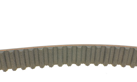 Фото 2 - Комплект ременя ГРМ SNR NTN KD473.19 (KD47319)