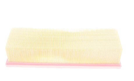 Фото 6 - Воздушный фильтр Solgy 103041