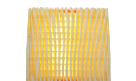 Фото 2 - Воздушный фильтр Solgy 103126