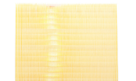 Фото 3 - Воздушный фильтр Solgy 103127