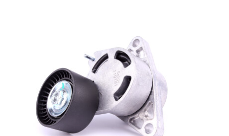 Фото 2 - Ролик ременя приводного Solgy 110181