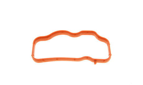 Прокладка коллектора впускного Audi A4/A6/Q7/VW Touareg 2.7/3.0TDI 05-11 - ((059145723)) Solgy 113014