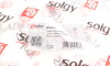 Важіль підвіски - (1061659, 1061662, 1073252) Solgy 204161 (фото 3)