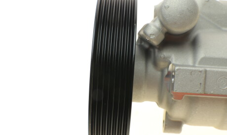 Фото 2 - Насос гидроусилителя Solgy 207071