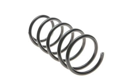 Фото 3 - Пружина підвіски Solgy 212002