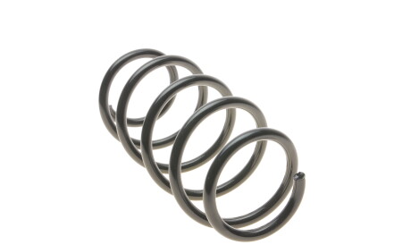 Фото 2 - Пружина підвіски Solgy 212007