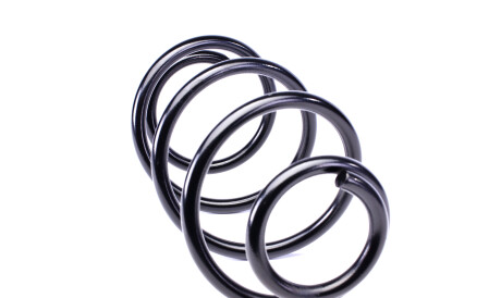 Фото 3 - Пружина подвески Solgy 212011