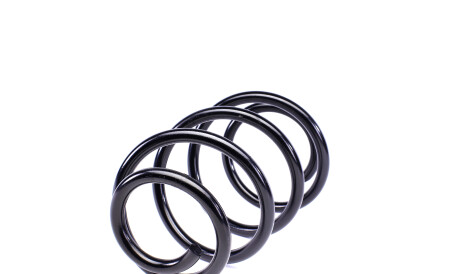 Фото 3 - Пружина подвески Solgy 212012