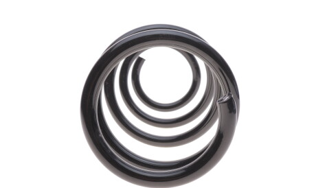 Фото 3 - Пружина підвіски Solgy 212029