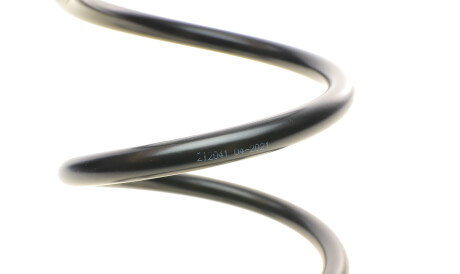 Фото 2 - Пружина підвіски Solgy 212041