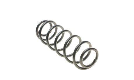 Фото 3 - Пружина підвіски Solgy 212041