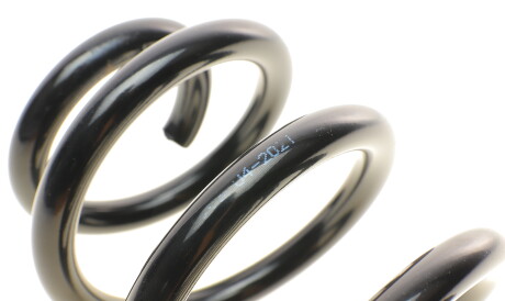 Фото 2 - Пружина підвіски Solgy 212048